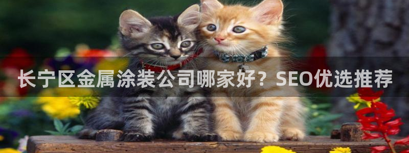 美高梅儿童乐园官网