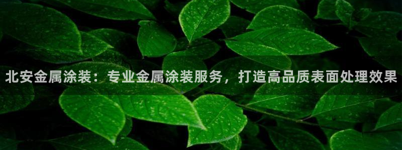美狮美高梅酒店房间数量