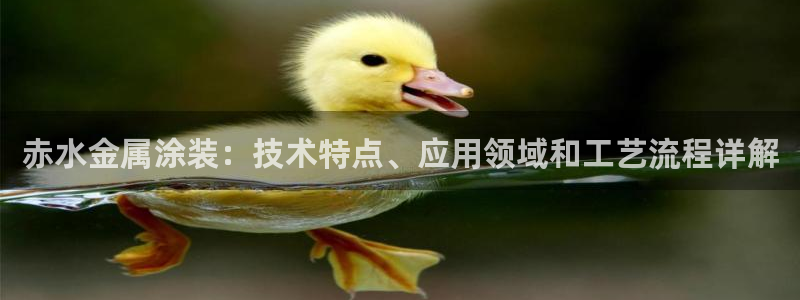 美高梅的老板是何超莲吗