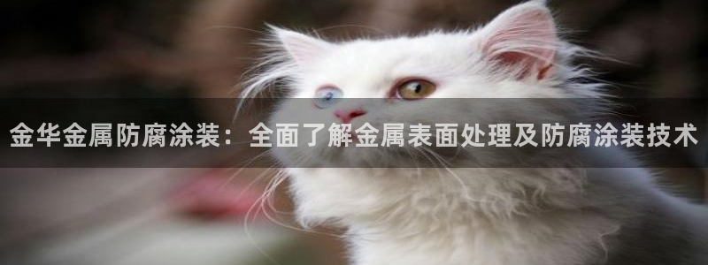 美高梅音乐会公开售票吗