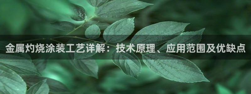 美高梅酒店ka秀价格