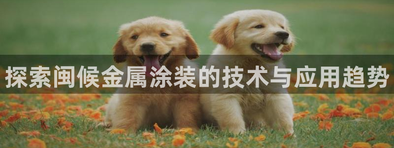 美高梅现金网