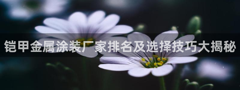 美高梅酒店员工待遇