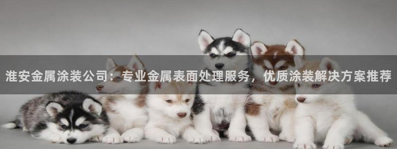 美高梅全国有几家