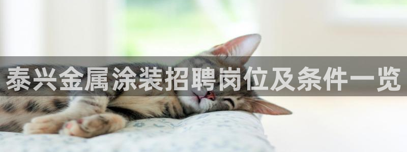 美高梅门口的狮子