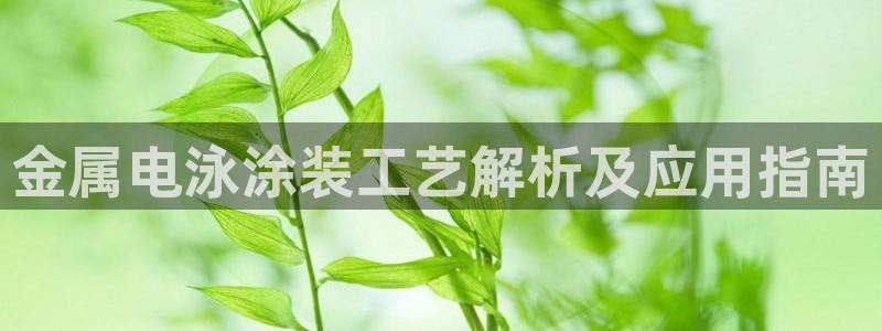 美高梅图片手机屏保