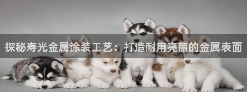 美高梅风水