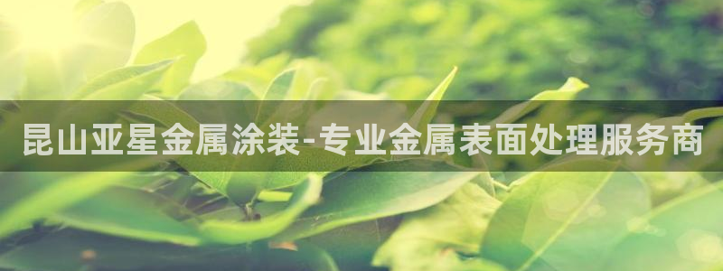 美高梅是上市公司吗