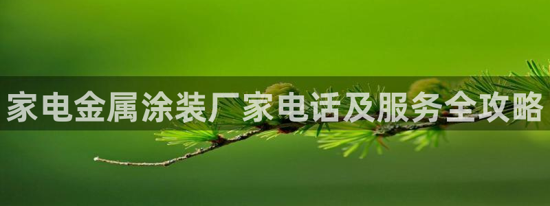 美高梅酒店床垫是什么品牌