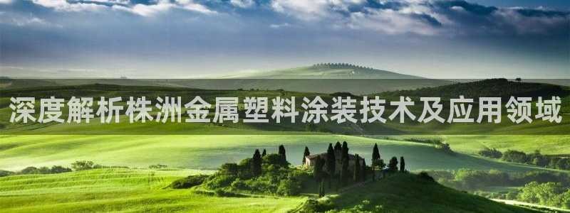 美高梅是做什么的澳门何超琼
