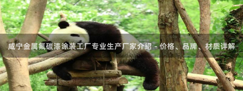 美高梅官网集团