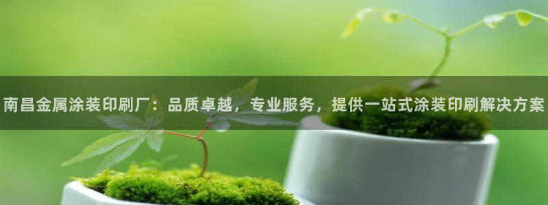 美狮美高梅酒店里的娱乐场承包出去了吗