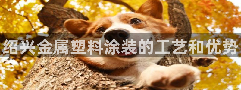 美狮美高梅酒店武汉有吗