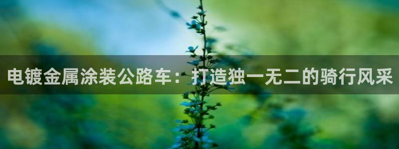 美高梅酒店发财车