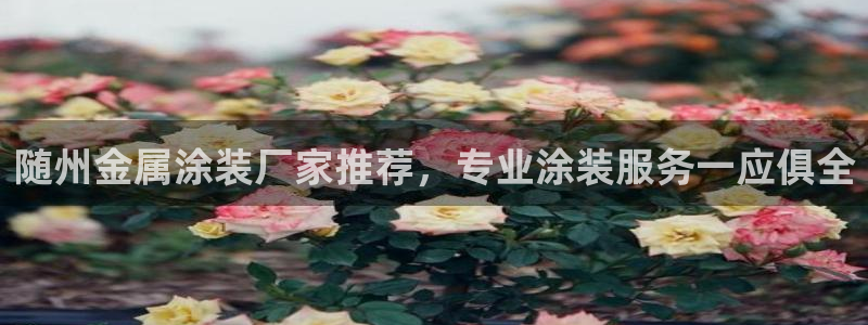 美高梅游戏官网app可以玩吗