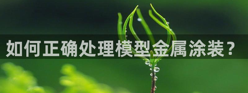 美狮美高梅酒店有什么品牌专卖店