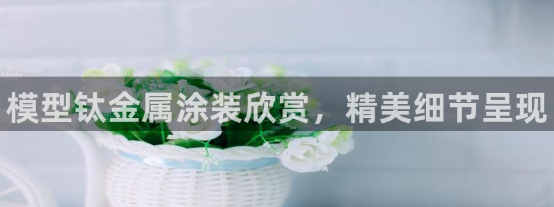 美高梅属于什么集团