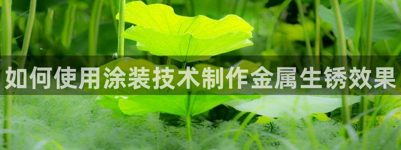 美高梅是做什么的?