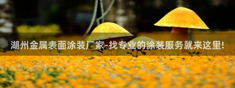 美高梅软件转钱准成吗