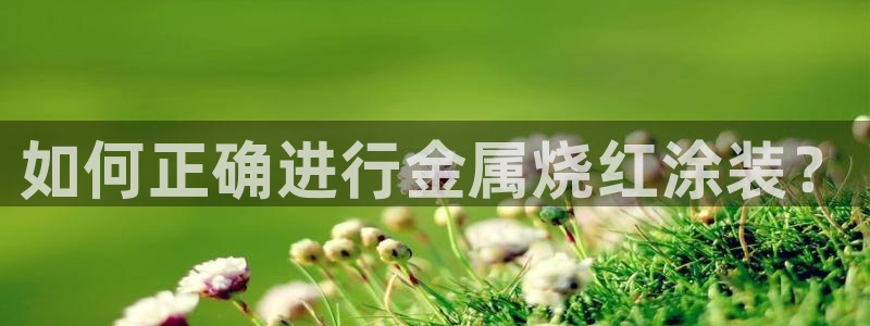 美高梅奶茶在哪里拿