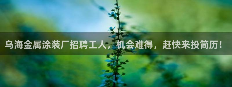 美狮美高梅酒店面对面
