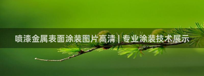 美高梅酒店拉斯维加斯