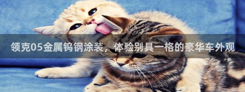 美高梅筹码图片