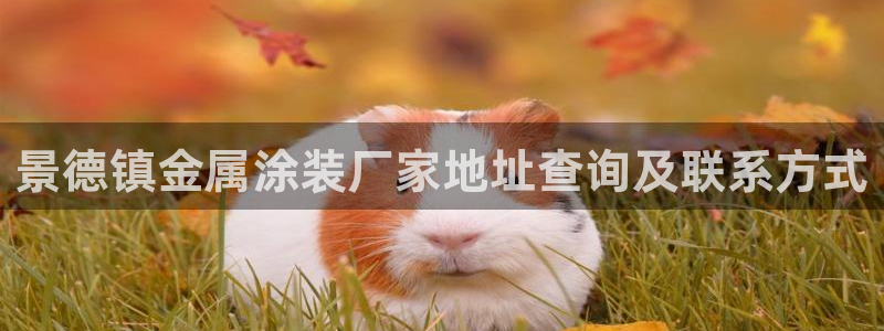 美高梅网上直营