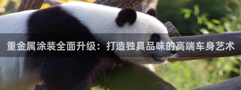 美高梅酒店层高