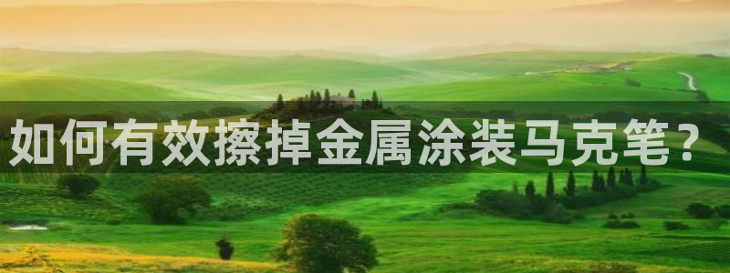 美高梅酒店发财车