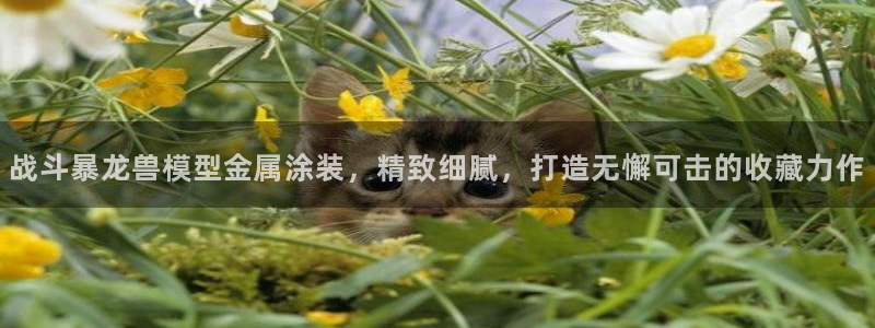 美高梅dfs关门时间