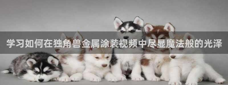 美高梅股票