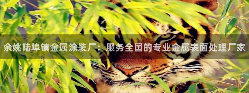 美高梅直营游戏有哪些