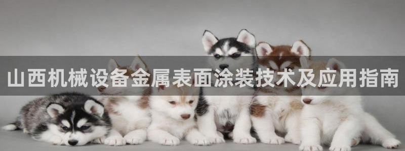 美高梅酒店房间
