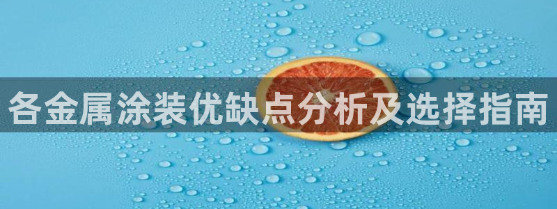 美高梅软件开发创始人