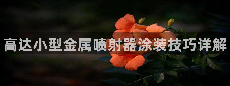 澳门的美高梅酒店外观视频