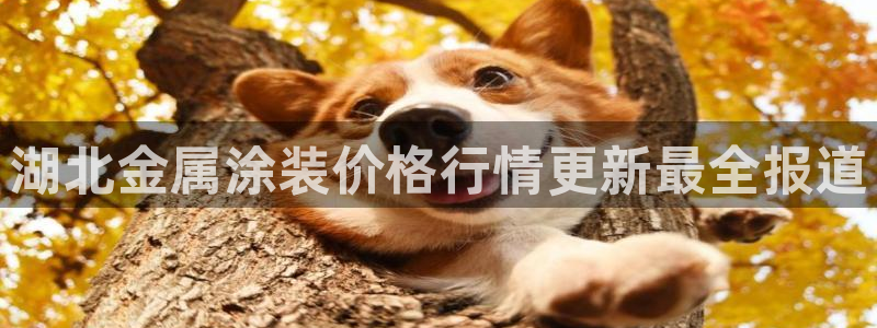 美狮美高梅酒店里的娱乐场承包出去了吗