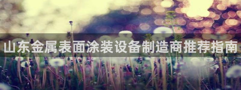 美高梅狮子logo