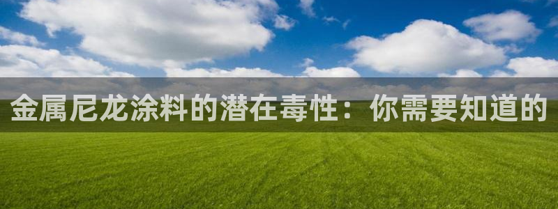美高梅mgm集团4688打不开