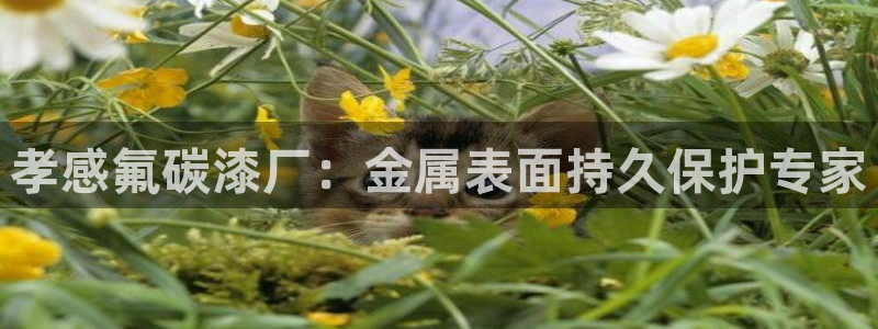 美高梅股票代码02282新