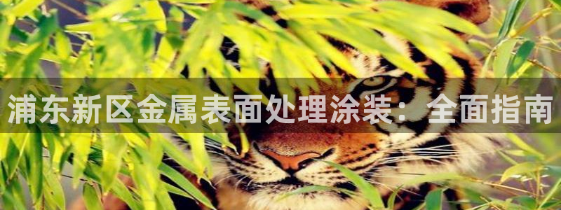 美高梅有什么好吃的
