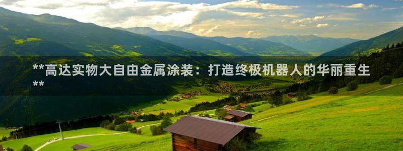 美高梅会员卡图片
