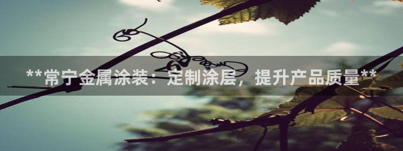 美高梅酒店认养的大熊猫