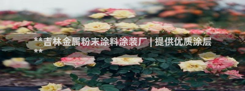 美高梅赌