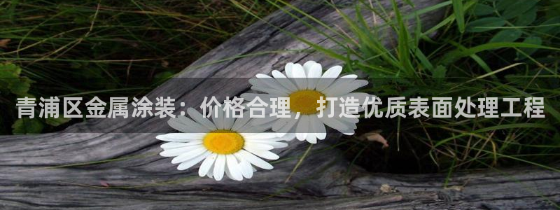 美高梅酒店老板是谁