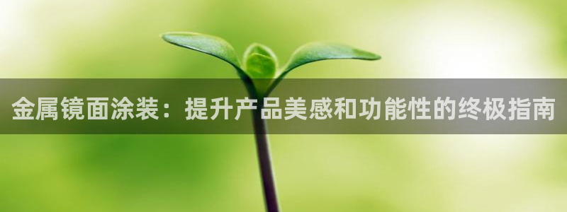 美高梅老板何超琼