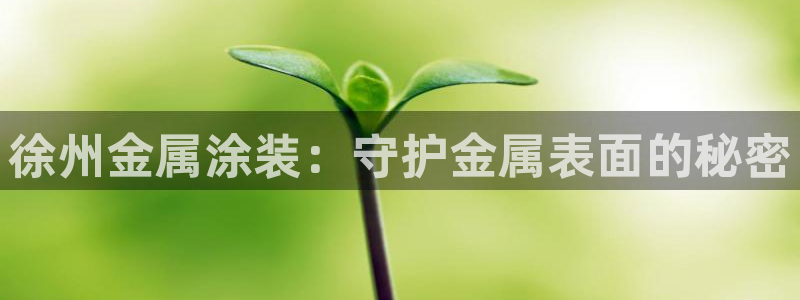 美高梅酒店英文名