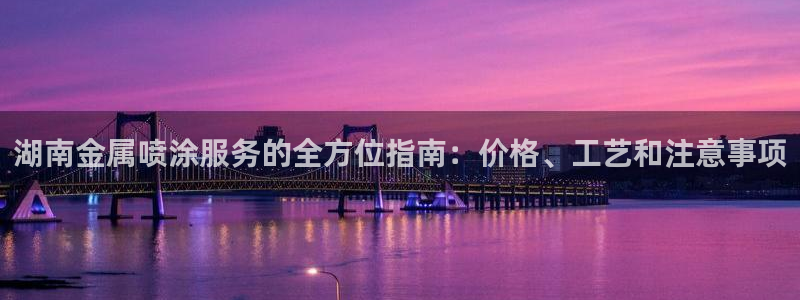美高梅何超琼股份