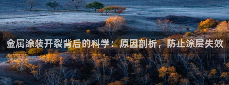 美高梅冯小峰简介