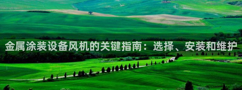 美高梅何超琼年薪
